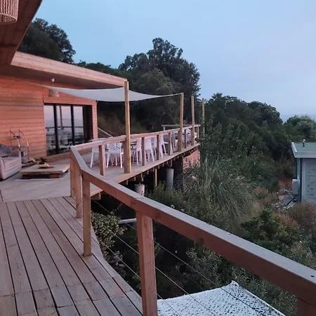 A Dimora Di Murza Liliekaena Albitreccia