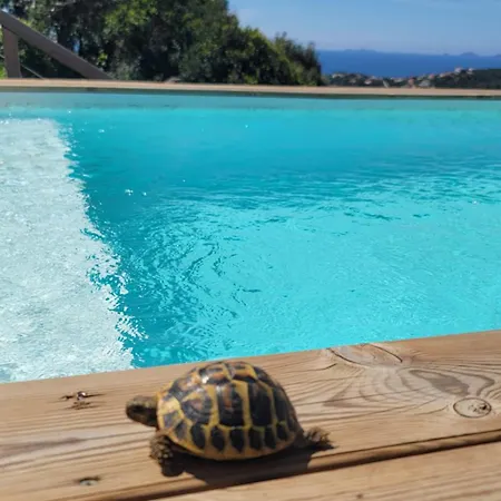 A Dimora Di Murza Liliekaena *