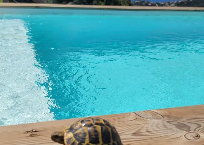 A Dimora Di Murza Liliekaena *